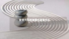 复原穴位的准确位置是什么