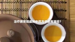 治疗脾肾阳虚的中药方子都有哪些?