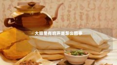 大脑里有响声是怎么回事