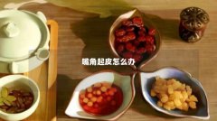 嘴角起皮怎么办