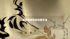 肢体离断伤的处理方法