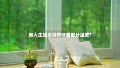 男人生殖系统有哪些部分组成?