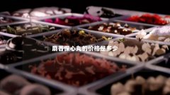 麝香保心丸的价格是多少