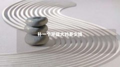 补一个牙缝大约多少钱