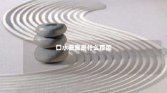 口水很臭是什么原因