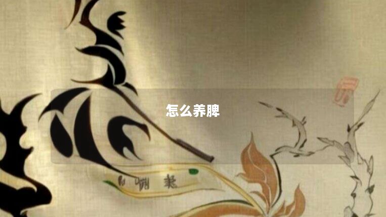 怎么养脾 怎么养脾