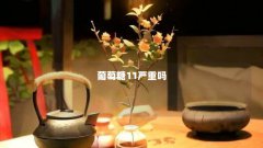 葡萄糖11严重吗