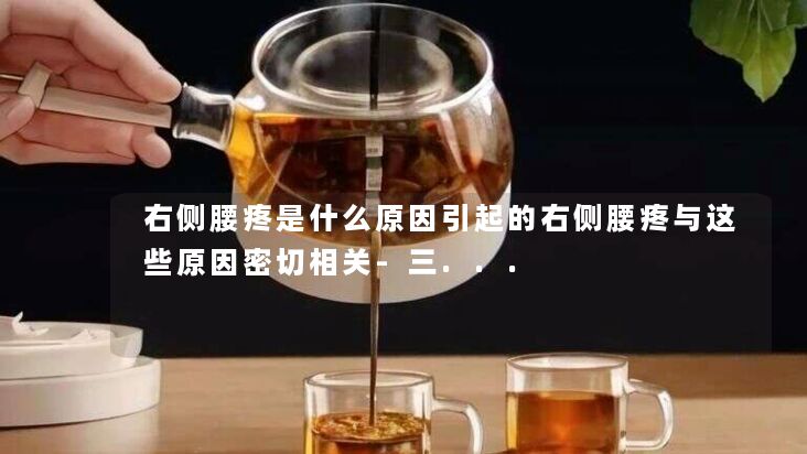 右侧腰疼是什么原因引起的右侧腰疼与这些原因密切相关-三... 右侧腰疼是什么原因引起的右侧腰疼与这些原因密切相关-三...