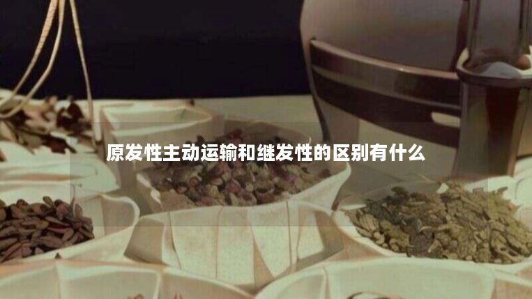 原发性主动运输和继发性的区别有什么 原发性主动运输和继发性的区别有什么