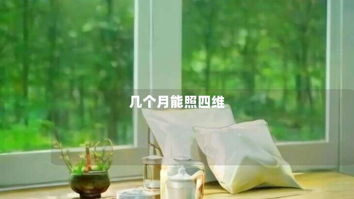 几个月能照四维 几个月能照四维