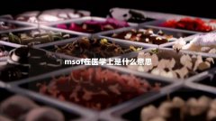 msof在医学上是什么意思