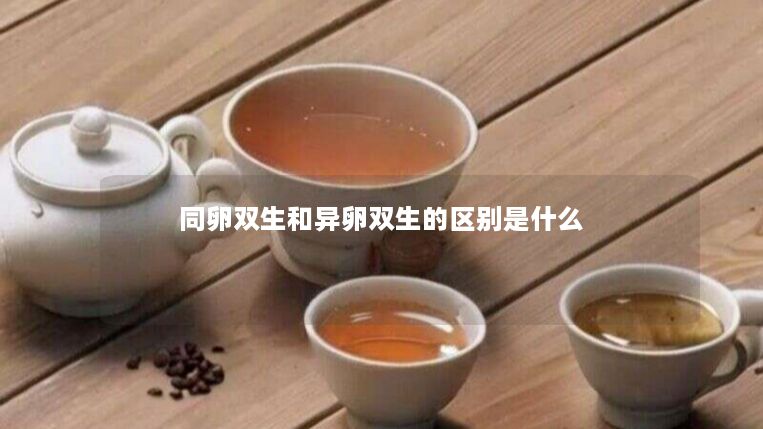 同卵双生和异卵双生的区别是什么 同卵双生和异卵双生的区别是什么