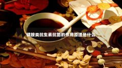 磺胺类抗生素抗菌的作用原理是什么
