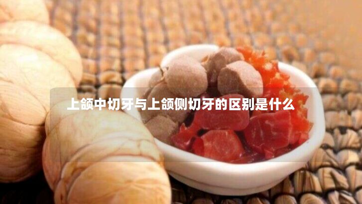 上颌中切牙与上颌侧切牙的区别是什么 上颌中切牙与上颌侧切牙的区别是什么