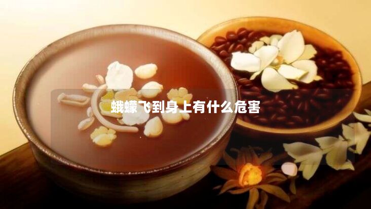 蛾蠓飞到身上有什么危害