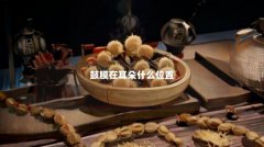 鼓膜在耳朵什么位置