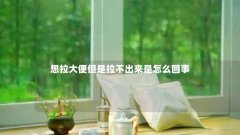 想拉大便但是拉不出来是怎么回事