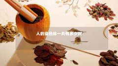 人的染色体一共有多少对