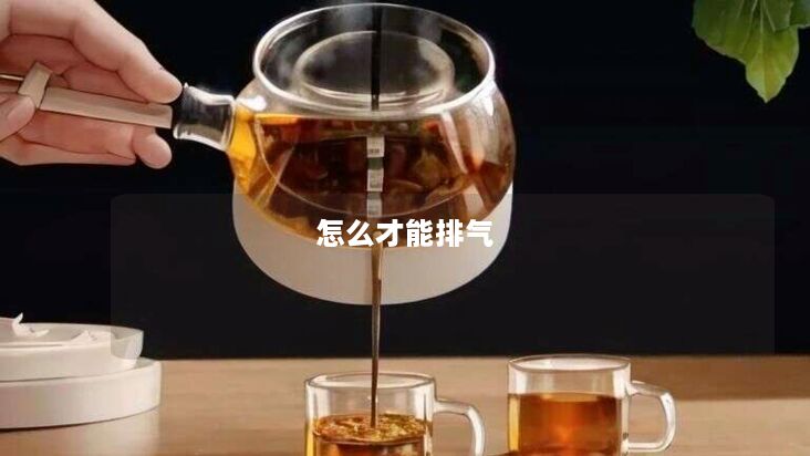 怎么才能排气