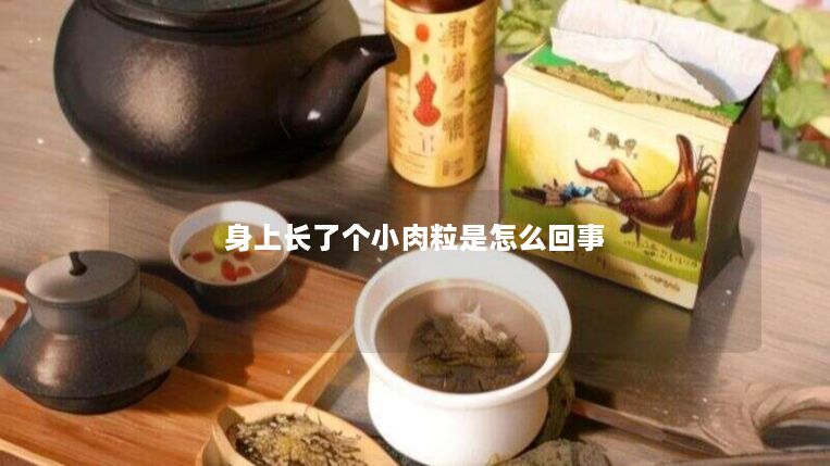 身上长了个小肉粒是怎么回事 身上长了个小肉粒是怎么回事