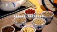 龟头边上长了一圈小疙瘩怎么回事