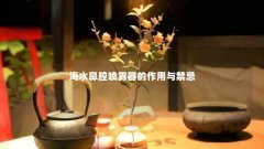 海水鼻腔喷雾器的作用与禁忌