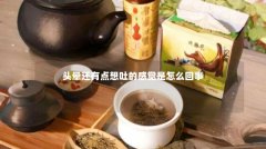 头晕还有点想吐的感觉是怎么回事