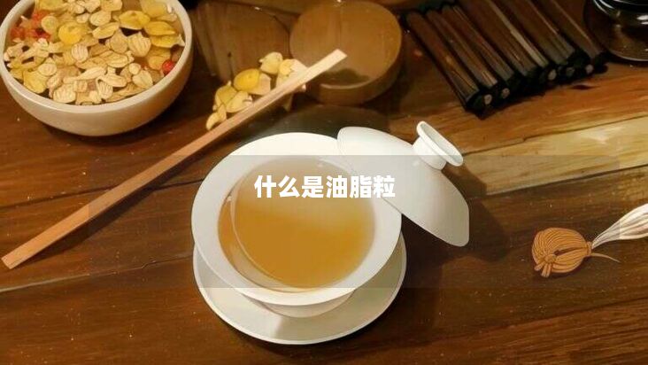 什么是油脂粒 什么是油脂粒