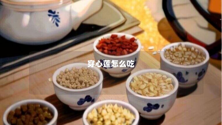 穿心莲怎么吃 穿心莲怎么吃