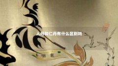 人丹和仁丹有什么区别吗