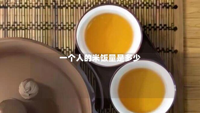 一个人的米饭量是多少
