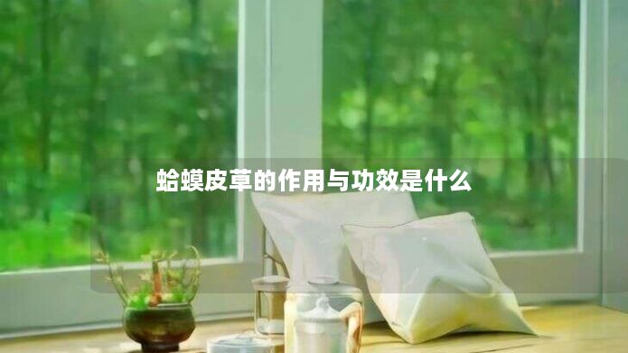 蛤蟆皮草的作用与功效是什么