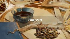 7周是几个月