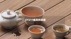 CY211偏高的原因