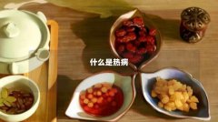 什么是热病