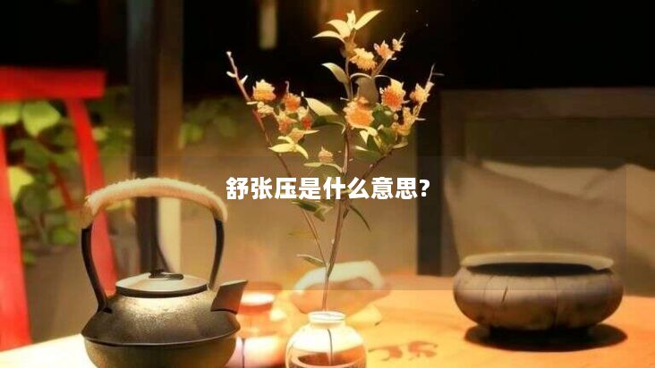 舒张压是什么意思?