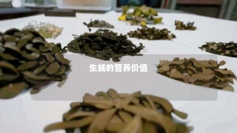 生蚝的营养价值