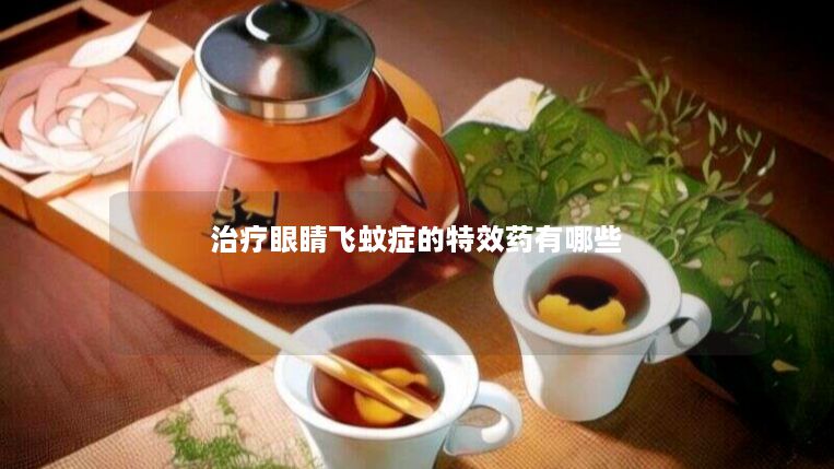 治疗眼睛飞蚊症的特效药有哪些