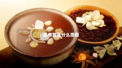 易感冒是什么原因