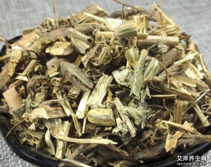一年蓬药材特写图片