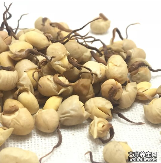 大豆黄卷的功效与作用图片