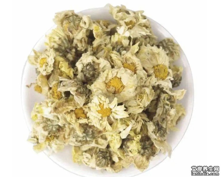 菊花图片
