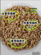 麦芽的功效与作用及使用方法主治禁忌_麦芽图片