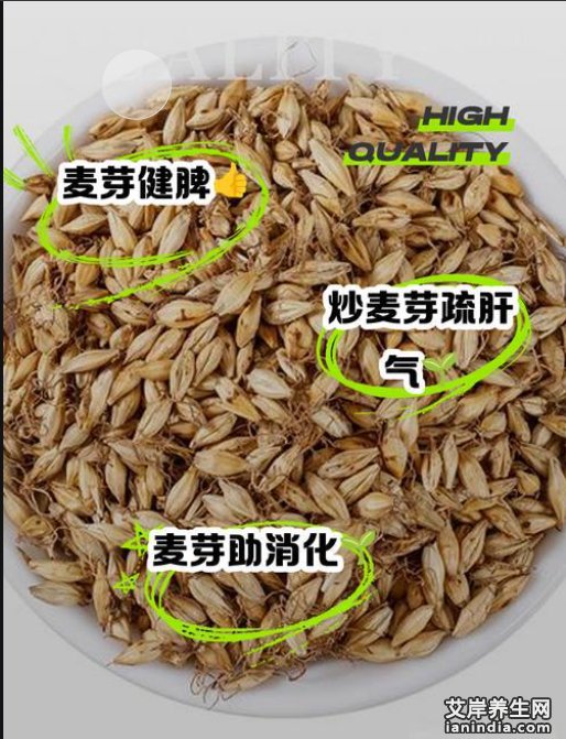 麦芽图片