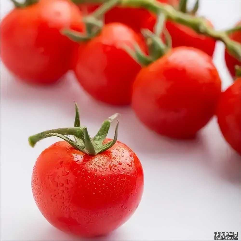 不如直接吃番茄